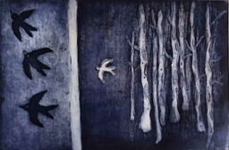 15-Cern�calos-y-Gaviotas